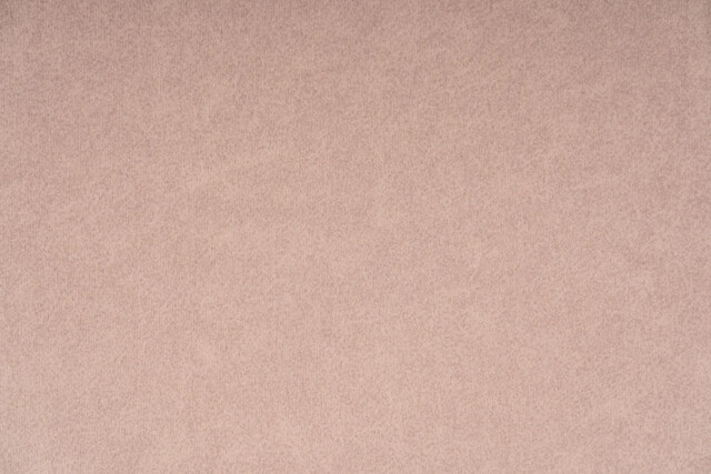 貓抓布色卡樣本，貨號 50503